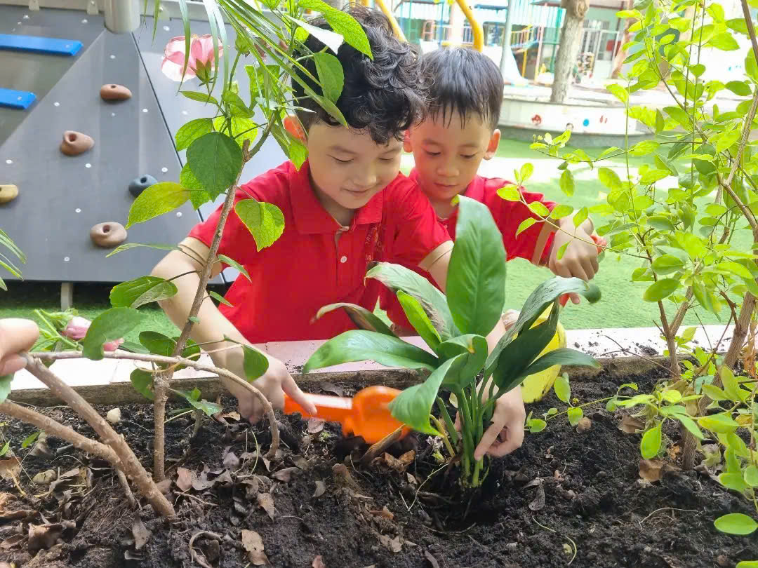 GIÁO DỤC KỸ NĂNG LÀM VIỆC NHÓM CHO TRẺ  BƯỚC KHỞI ĐẦU CỦA SỰ THÀNH CÔNG