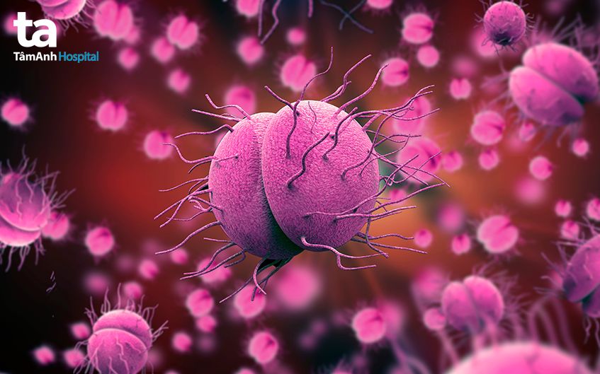 nguyên nhân gây viêm màng não mô cầu ở trẻ