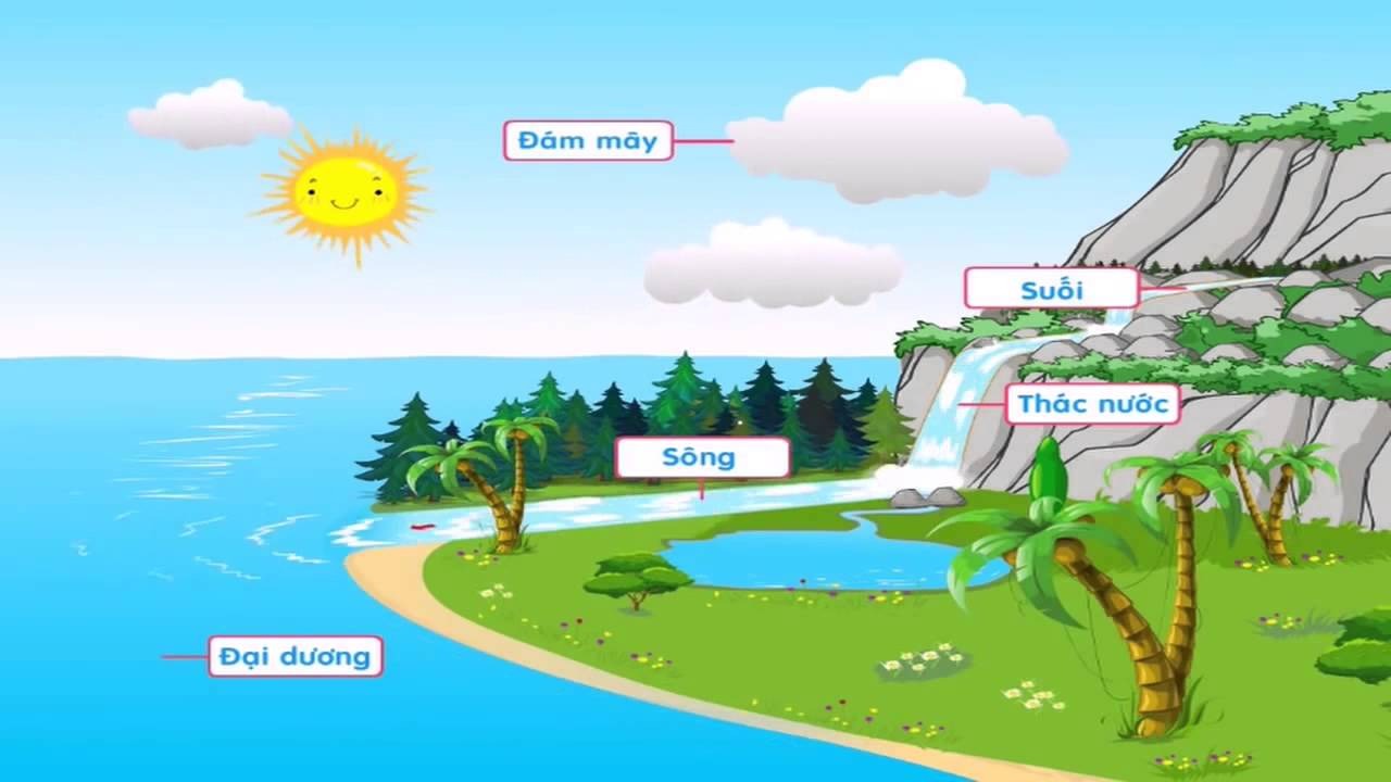 Vòng tuần hoà của nước